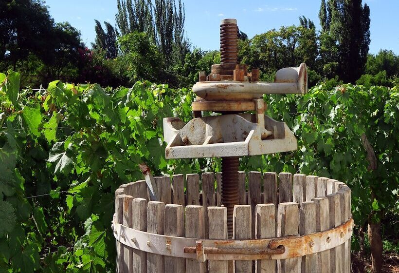 هتل روستایی Finca Adalgisa Wine