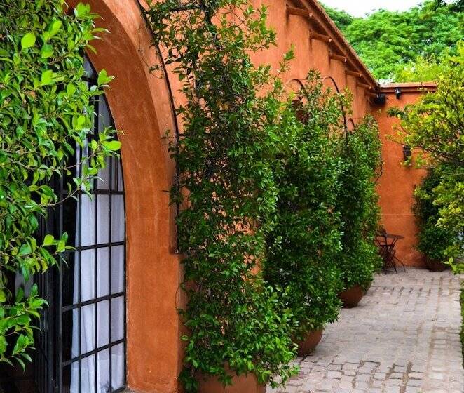 هتل روستایی Finca Adalgisa Wine