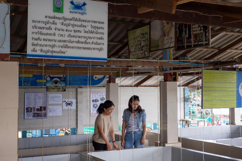 Otel Sheraton Hua Hin Pranburi Villas