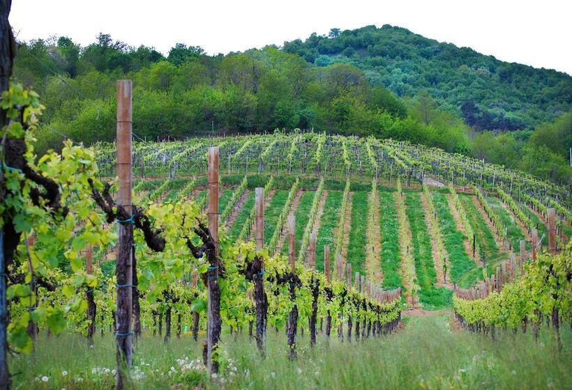 Wine Hotel San Giacomo Activity & Wellness