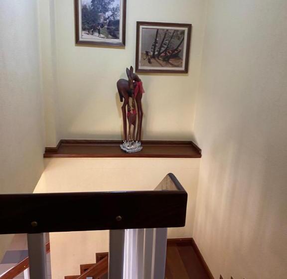 تختخواب و صبحانه Rubi