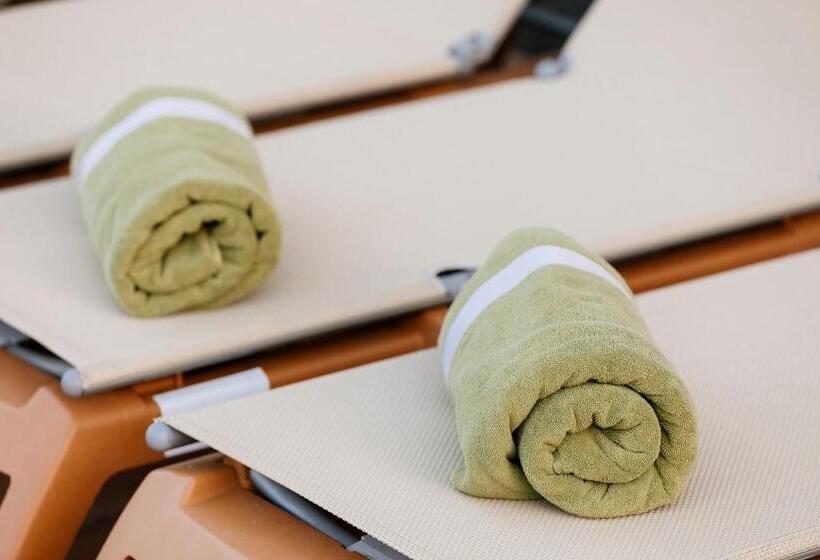 Hd Parque Cristobal Tenerife