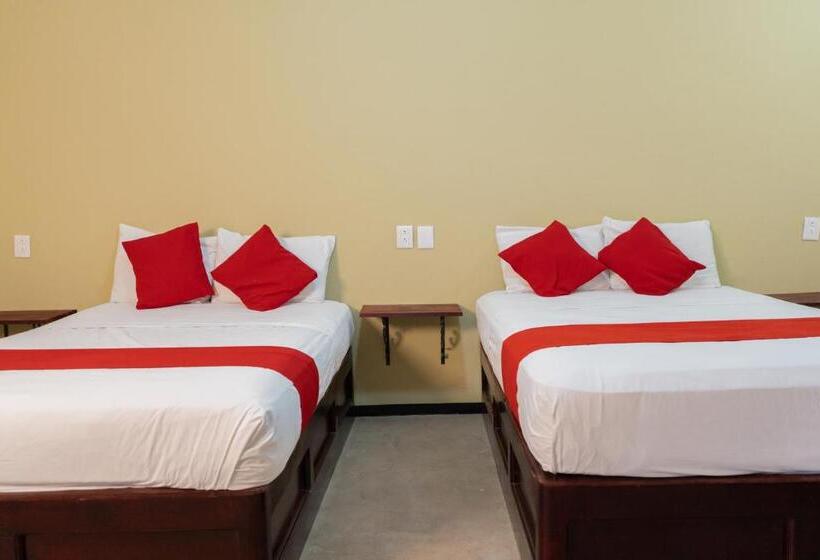 فندق فئة نجمة واحدة Esperanza, Oaxaca Centro