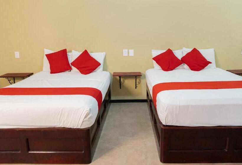 فندق فئة نجمة واحدة Esperanza, Oaxaca Centro