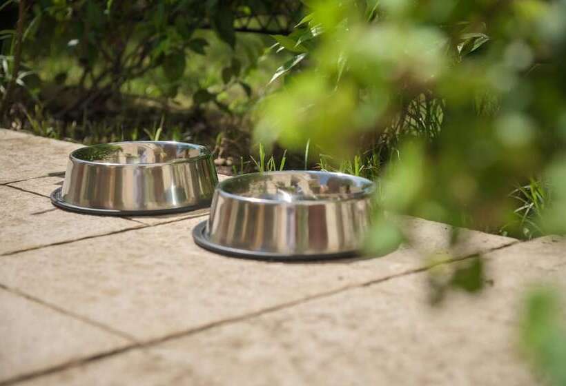 Amadria Park Hotel Agava