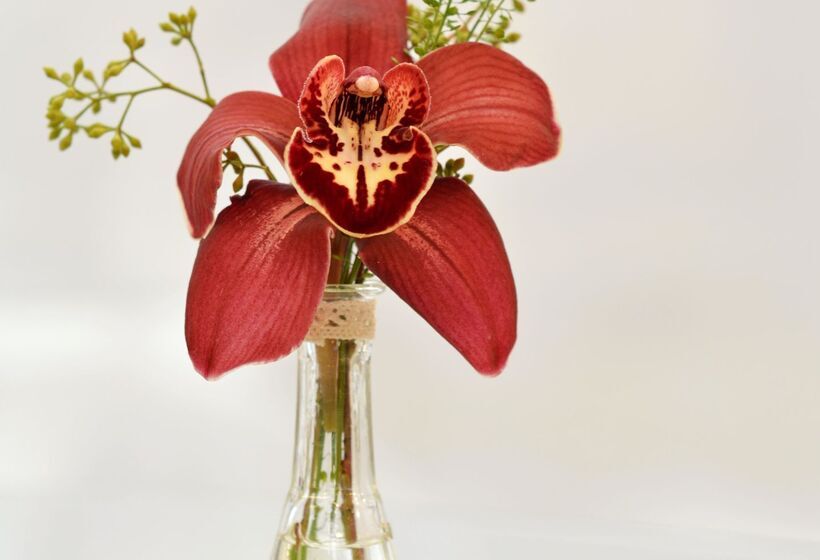 Atrium Hotel Bucharest City Center