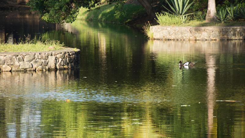 Отель Bahia Plaza