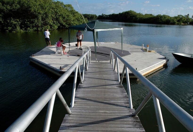 Отель Bahia Plaza