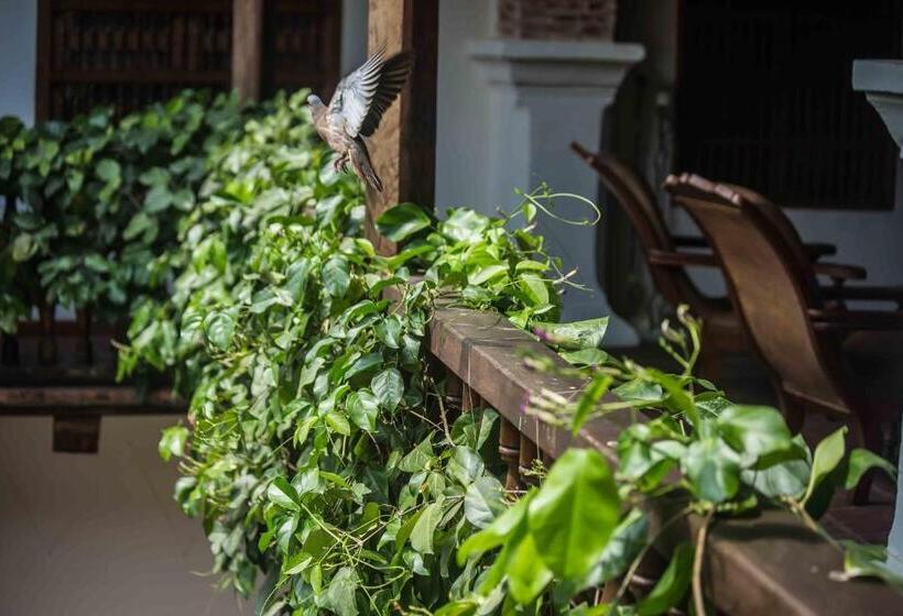 בית מלון כפרי Boutique Casa Del Arzobispado