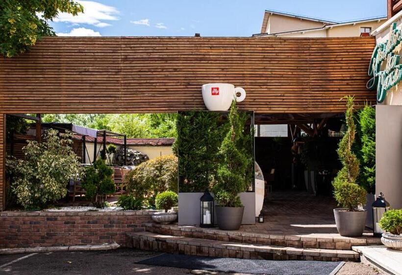 Отель Brilliant Meseș