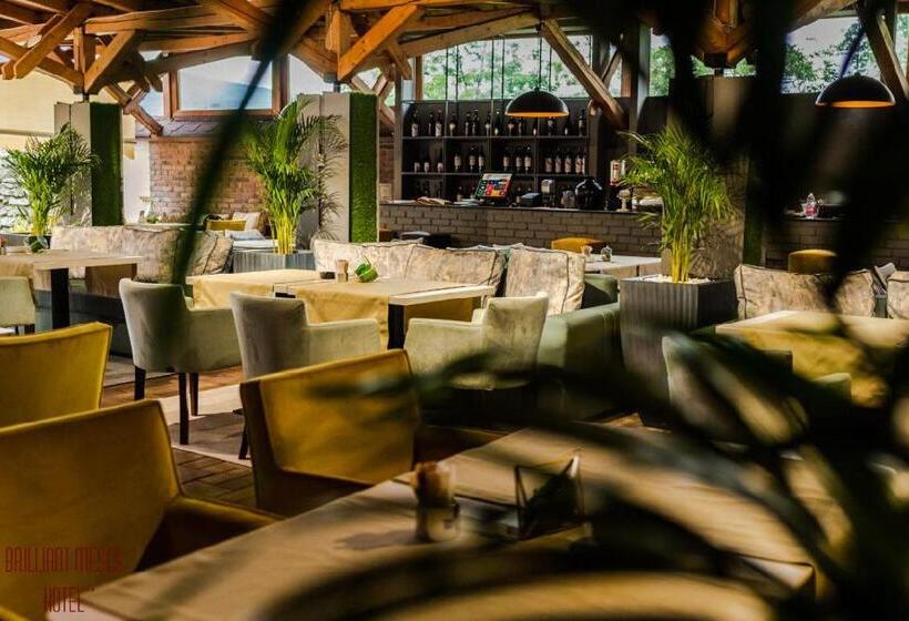 Отель Brilliant Meseș