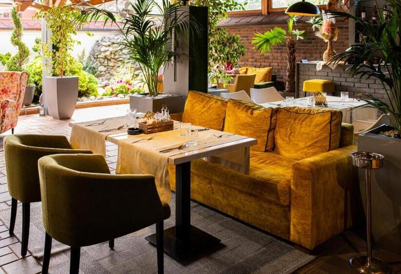 Отель Brilliant Meseș