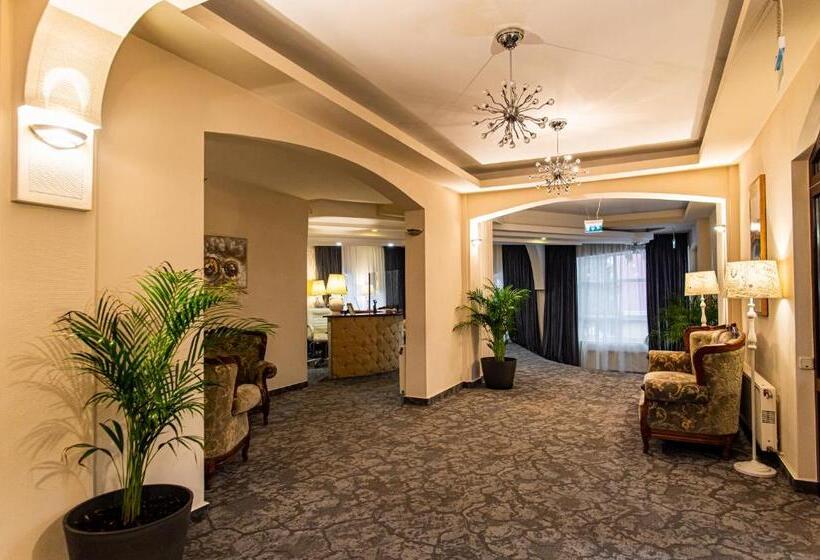 Отель Brilliant Meseș