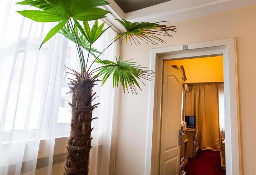 Отель Brilliant Meseș