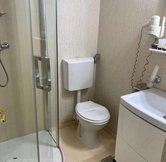 Отель Brilliant Meseș