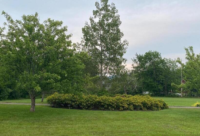 בית מלון כפרי Ceilidh Country Lodge