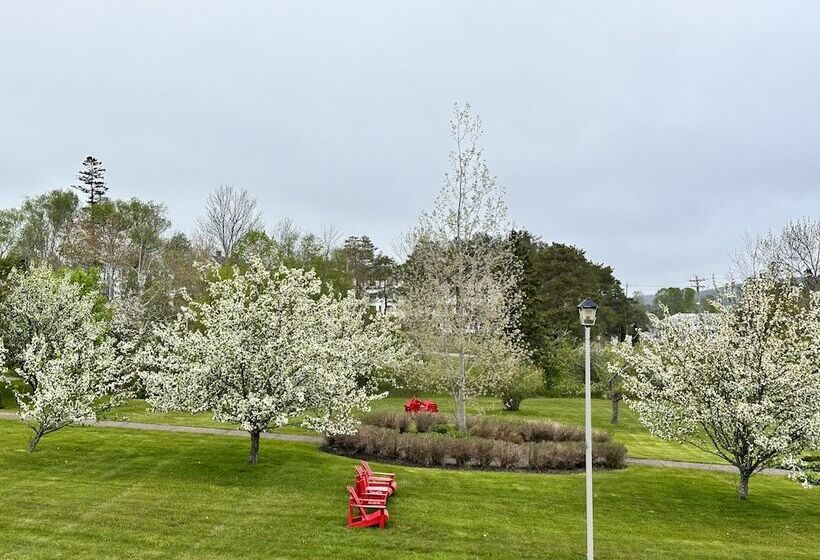 בית מלון כפרי Ceilidh Country Lodge