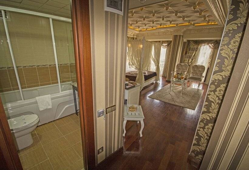 هتل Deluxe Golden Horn Sultanahmet