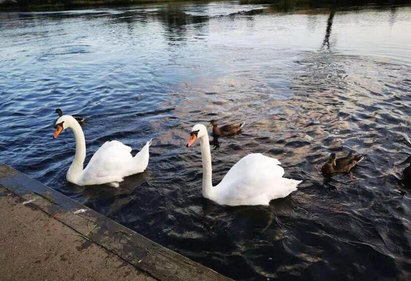 فندق Dreadnought