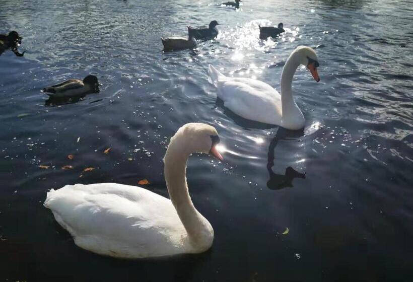 فندق Dreadnought