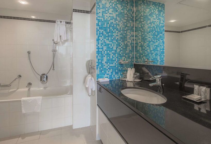 בית מלון כפרי Hilton Dublin Airport