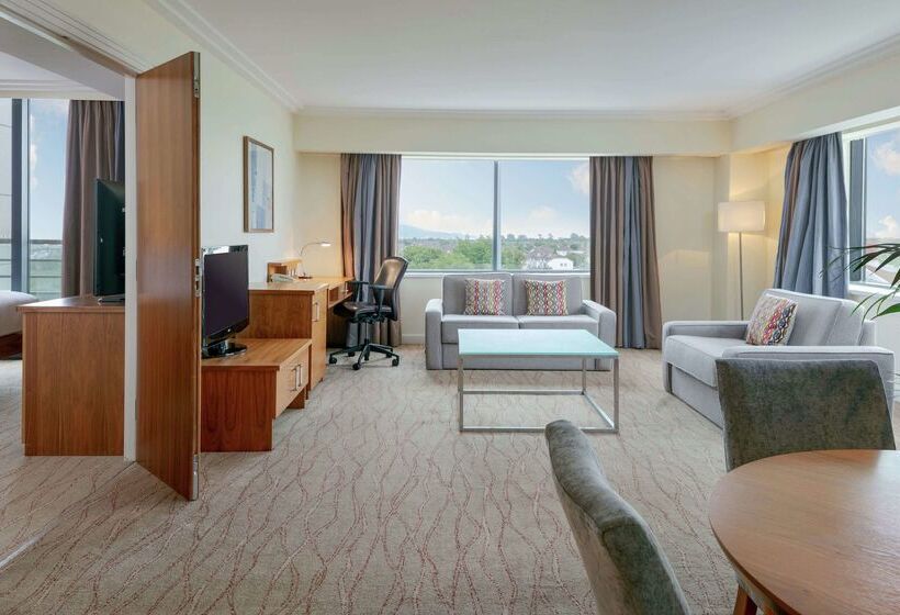 בית מלון כפרי Hilton Dublin Airport