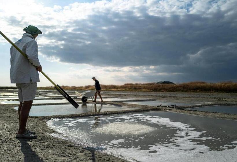 בית מלון כפרי Hôtel De Toiras