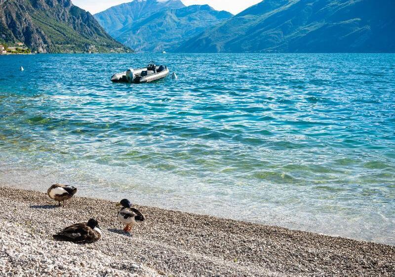 酒店 Leonardo Da Vinci