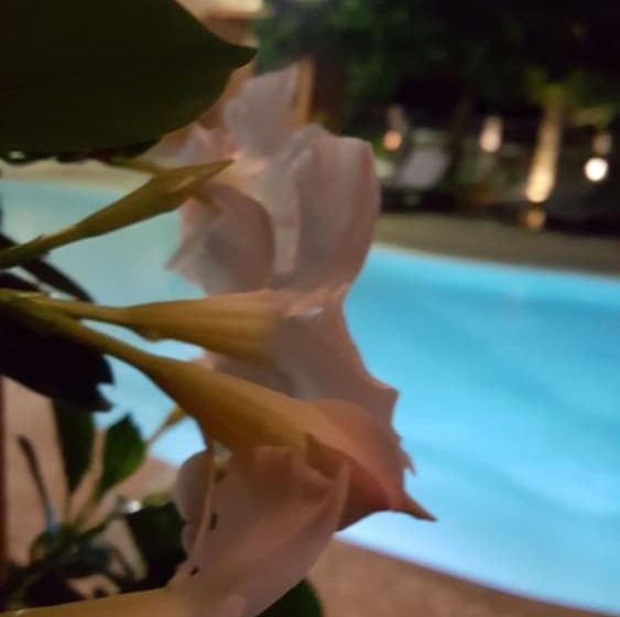 호텔 Les Jardins De La Glaciere