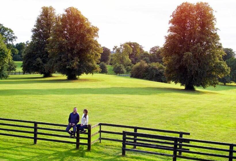 Отель Lyrath Estate