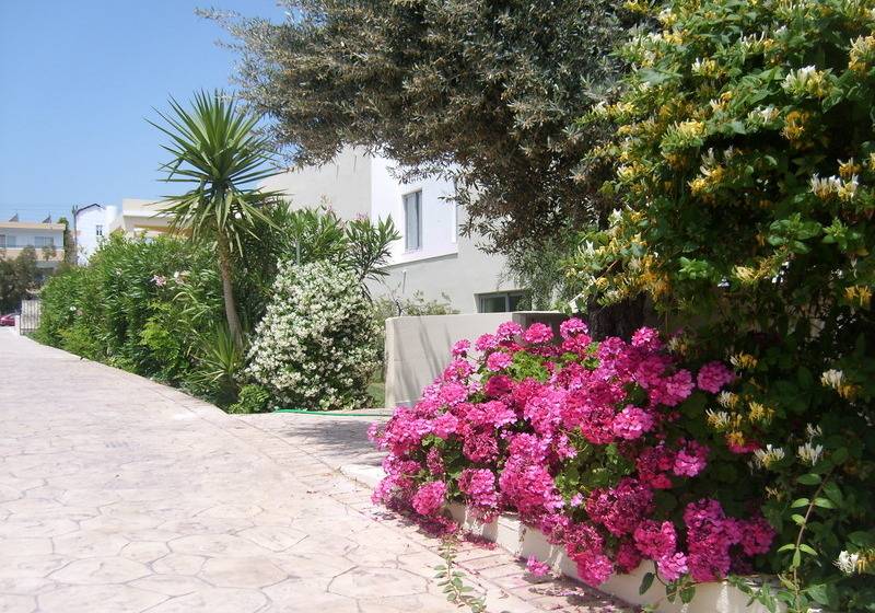 酒店 Memphis Beach