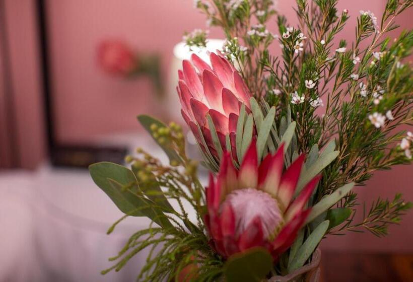 هتل Mountain Manor Guest House & Executive Suites