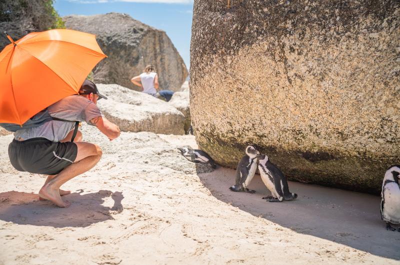 호텔 Never At Home Green Point