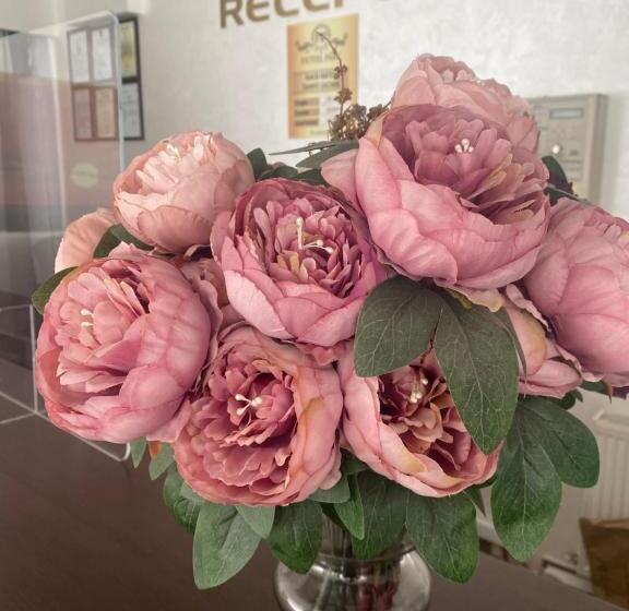 בית מלון כפרי Parc