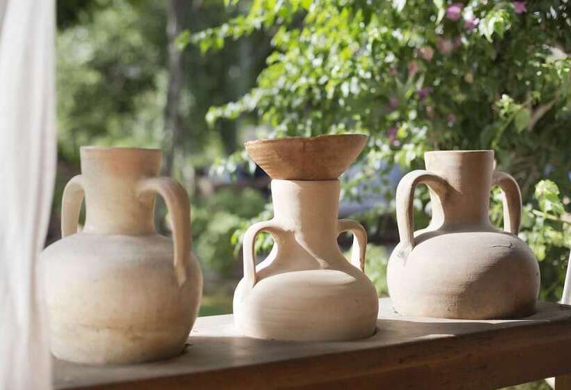 هتل روستایی Finca Ca'n Quatre