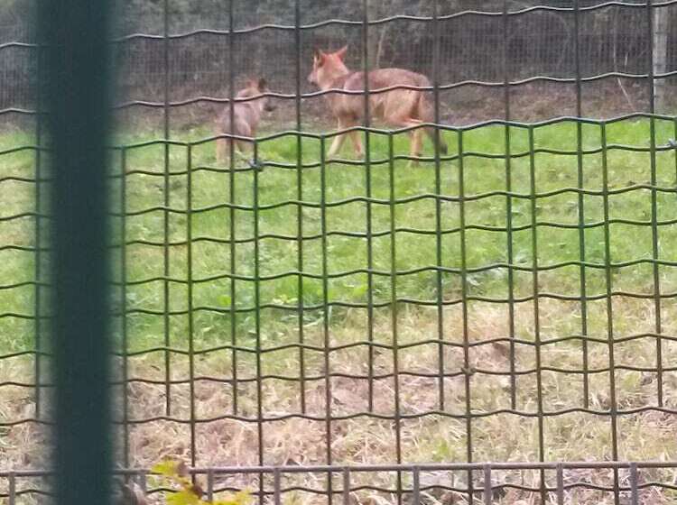 Gran Hotel Rural Cela