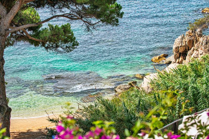 ホテル Cala Del Pi   Adults Only