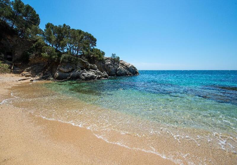 ホテル Cala Del Pi   Adults Only