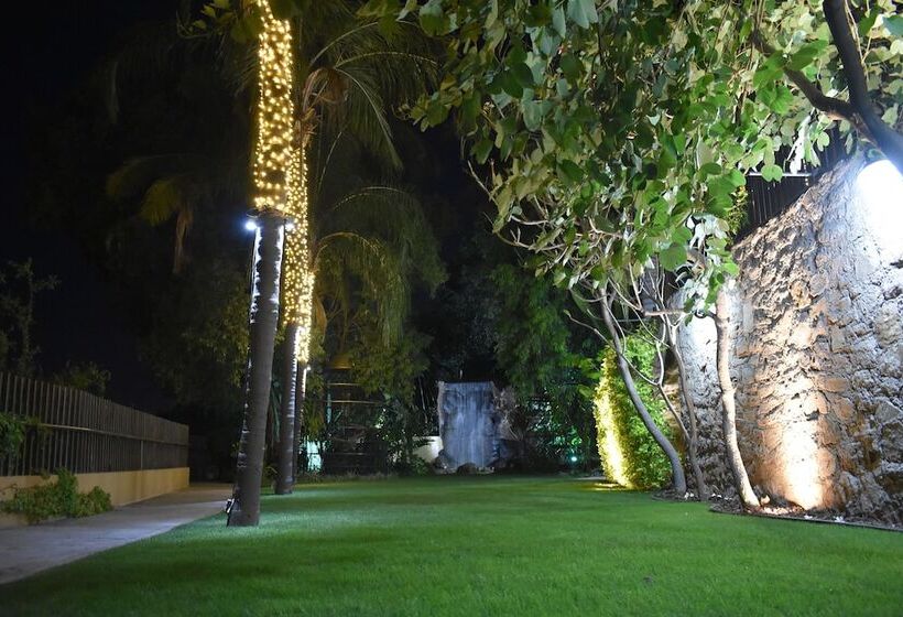 Отель San Luis Lindavista