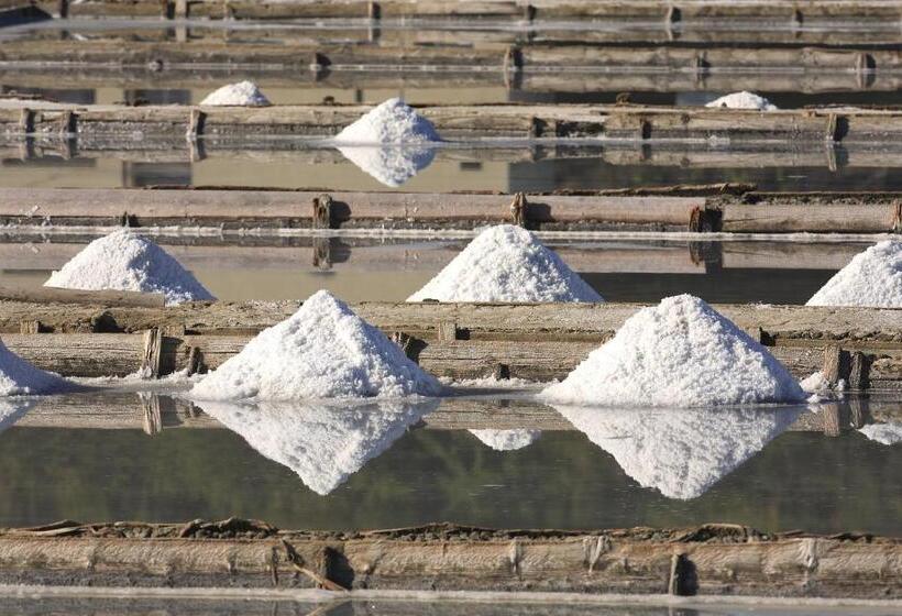 هتل Svoboda  Terme Krka