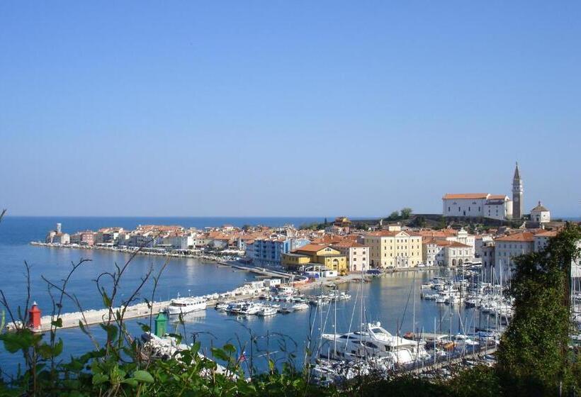 هتل Svoboda  Terme Krka