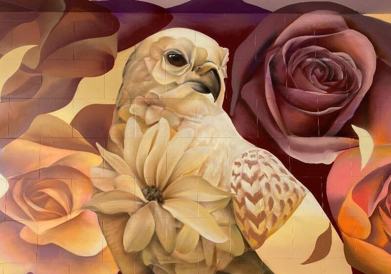 هتل The Fitzwilton