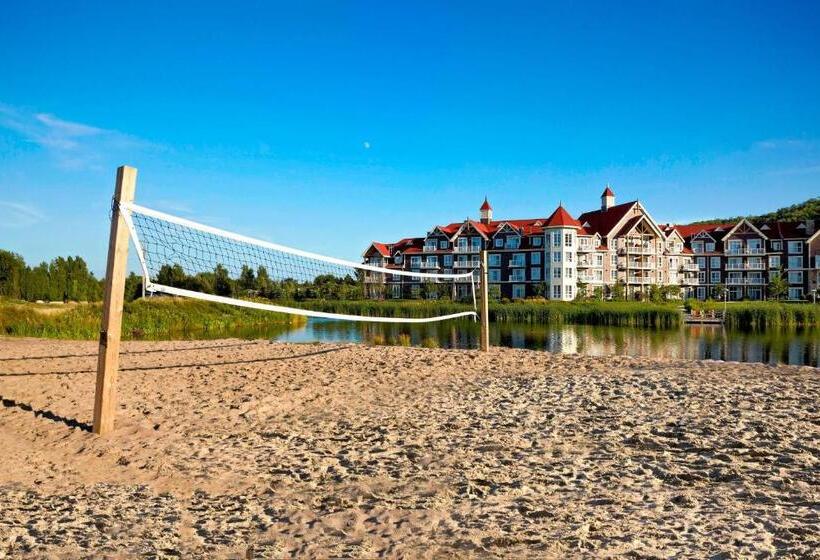 فندق The Westin Trillium House, Blue Mountain