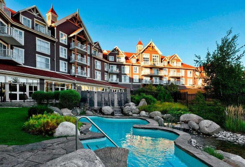 فندق The Westin Trillium House, Blue Mountain