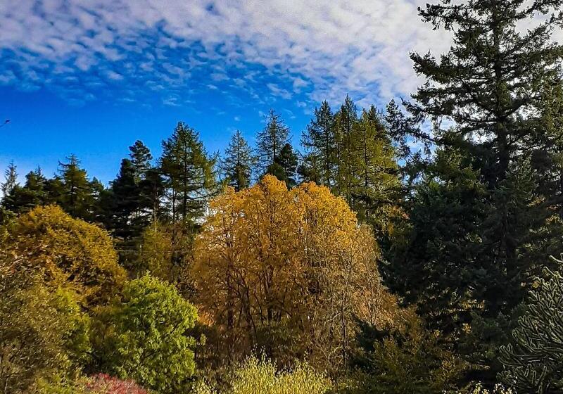 فندق The White Stag