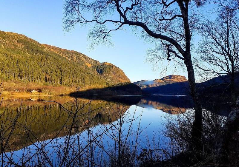 فندق The White Stag