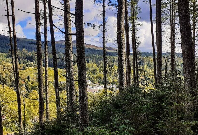 酒店 The White Stag