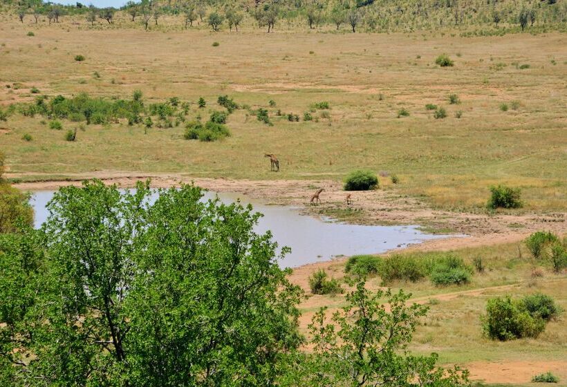 فندق Tshukudu Bush Lodge