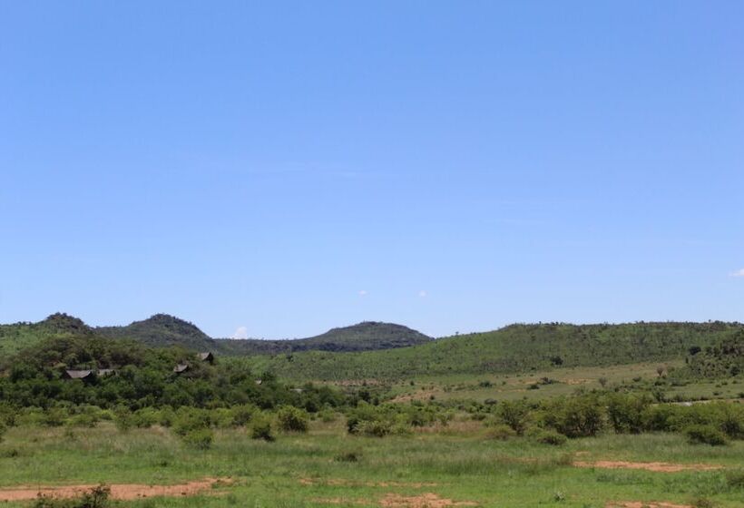 فندق Tshukudu Bush Lodge