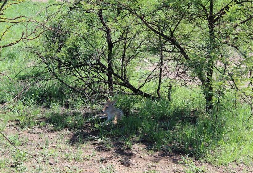 Отель Tshukudu Bush Lodge